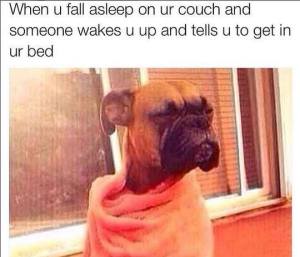 12039317_838640832900804_476577204282850241_n